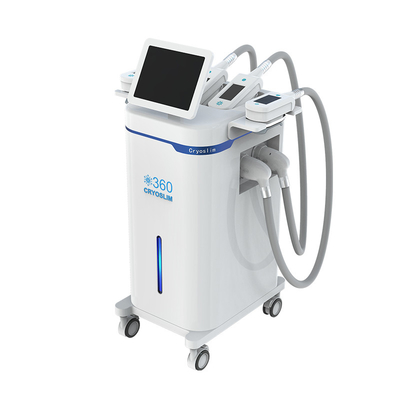 Buy 2022 Professional Weight Loss Body Sculpting 4 Handles 360 Cryolipolysis Fat Removal machine online manufacture