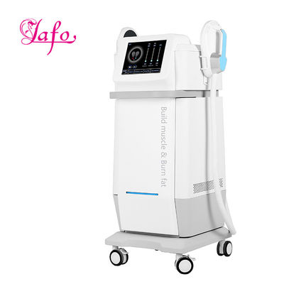 Buy Non Invasive Electromagnetic Beautiful Muscle hiemt RF fat contouring slimming muscle stimulation LF-448C online manufacture