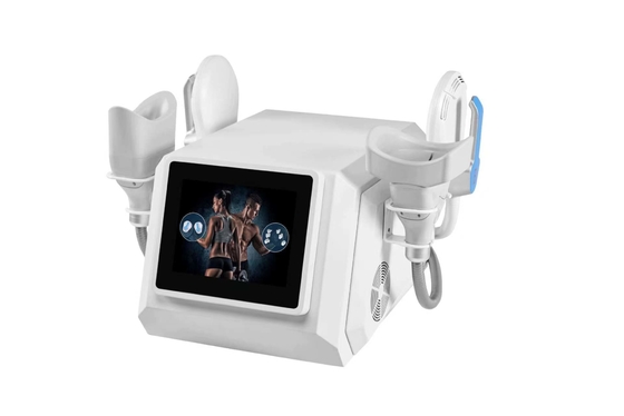 LF-473 portable hiemt cryolipolysis 2 in 1 slimming weight loss machine for salon and clinic use