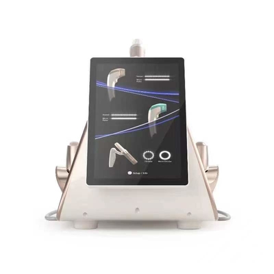 Portable TT Hifu 7D Ultrasound Facial Lift Firming 360 Hifu Anti-Wrinkle Machine 3 handles with 10 cartridges LF-429