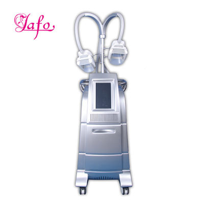 Professional cryo fat beauty machine fatest slimming weight loss cryo equipment LF-207B